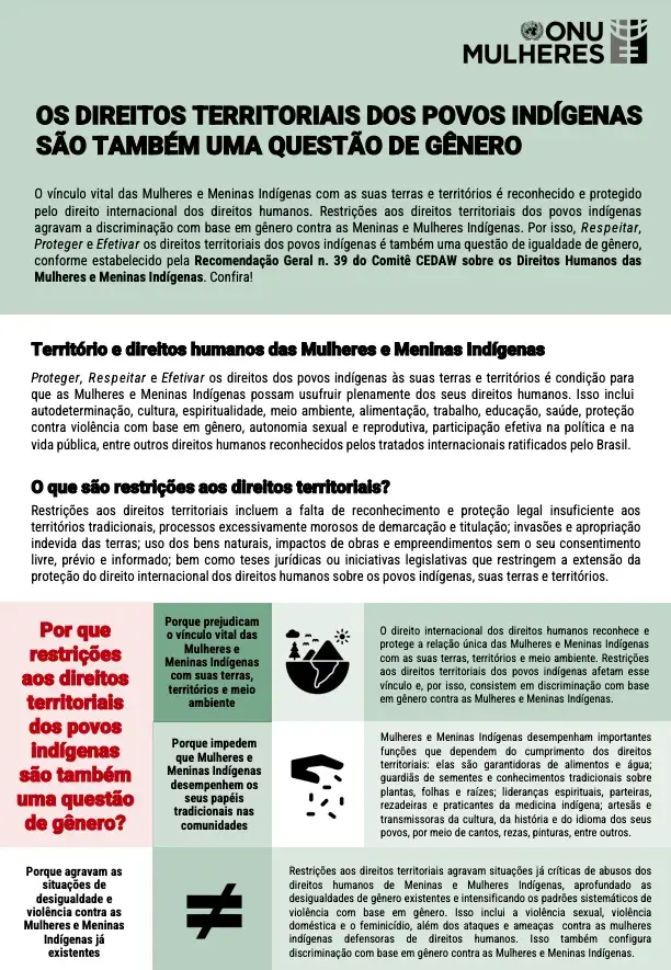 direitos-territoriais-indigenas-genero-publicacao